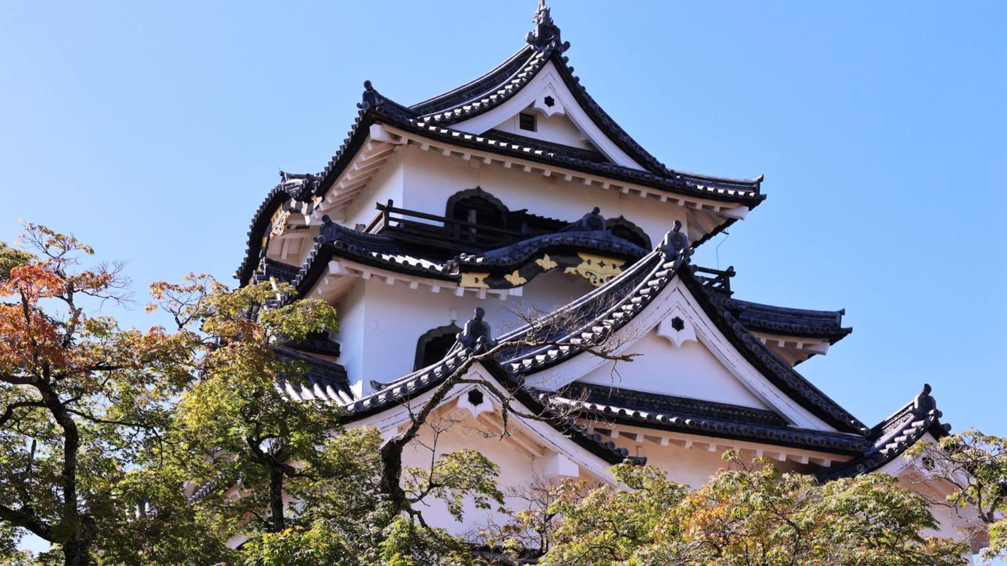 Toyoko Inn Hikone Eki Higashi Guchi Kültér fotó