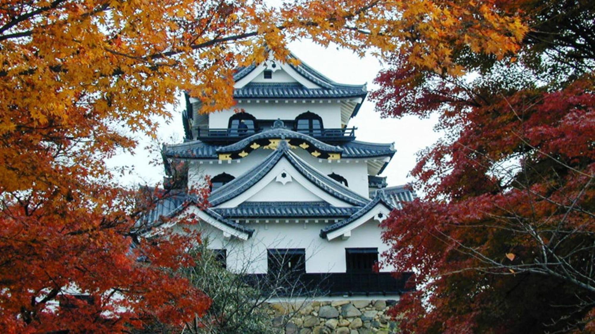 Toyoko Inn Hikone Eki Higashi Guchi Kültér fotó